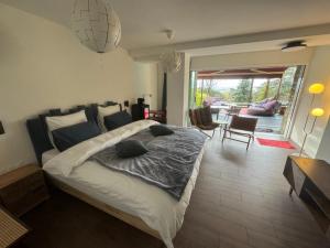 a bedroom with a large bed and a living room at LA MAISON DE ROBINSON in Le Plessis-Robinson