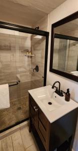 a bathroom with a sink and a shower at Lily Creek Lodge in Dahlonega