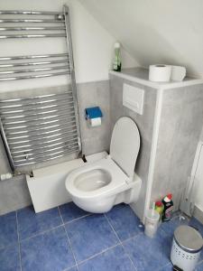 a small bathroom with a toilet and a shower at Chambre dans maison avec salle de bain collective in Cluses