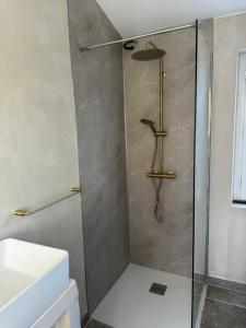 eine Dusche mit Glastür im Bad in der Unterkunft Le coin des hirondelles in Asfeld