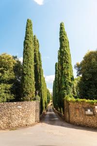 eine Reihe von Bäumen und eine Steinmauer in der Unterkunft Borgo San Luigi in Monteriggioni