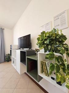 ein Büro mit einem Schreibtisch, einem TV und Pflanzen in der Unterkunft Midori House Florence in Campi Bisenzio