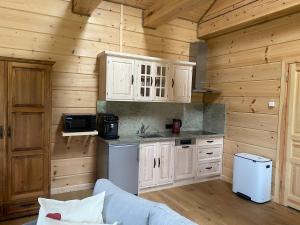 a kitchen with wooden walls and a counter top at Bielańska Ostoja in Uście Gorlickie