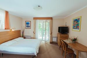 a bedroom with a bed and a desk and a television at Hotel Pod Sosnami in Osieck