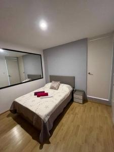 a bedroom with a bed and a large mirror at Oaxaca departamento azul in Oaxaca City