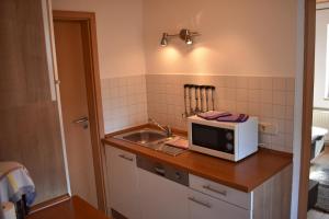 uma cozinha com um lavatório e um micro-ondas no balcão em Ferienwohnung Sternkopf em Ehrenzipfel