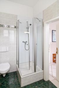ein Badezimmer mit Dusche und Toilette in der Unterkunft Villa Schering App. EG links in Heringsdorf