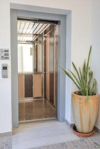 a potted plant sitting in front of a door at Faliraki Dream Apartments & Studios in Kallithea Rhodes