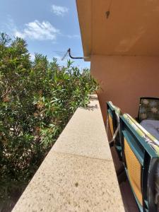 uma vista da varanda de uma casa com plantas em Apartman Mia Vir em Vir