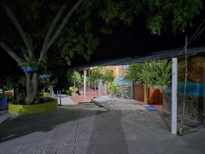 Zahrada ubytování Hostal Sol de Verano Doña Lilia + 12 fotografií