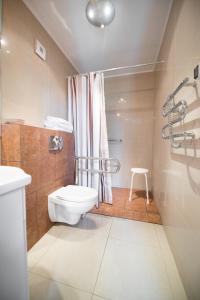 a bathroom with a toilet and a shower curtain at Hotel Pod Sosnami in Osieck