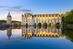 a castle with its reflection in the water at L'INTEMPOREL - A 300m de la gare de Tours in Tours