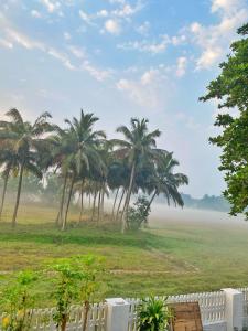 a group of palm trees in a field with a fence at Bluebell Meadows 2BHK in Varca +15 photos