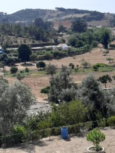vista su un campo con alberi e cespugli di Lugar do Sonho Apartamento a Cercal Altre 2 foto
