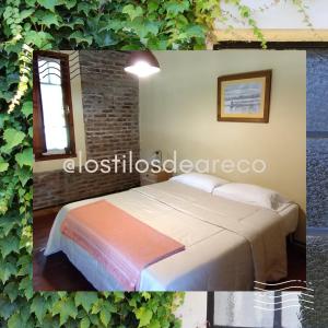 ein Schlafzimmer mit einem Bett und einem Fenster in der Unterkunft Los tilos in San Antonio de Areco