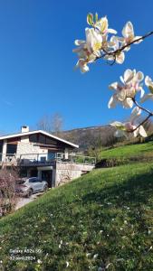 Naturlandskabet i nærheden af lejligheden