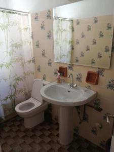 a bathroom with a sink and a toilet and a mirror at The house of Nikos and Katerina 2 in Andros