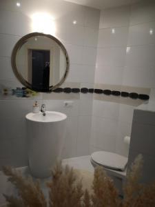 een badkamer met een wastafel, een toilet en een spiegel bij Apartamentai Kęstučio g. Šilutėje in Šilutė