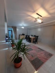 ein Wohnzimmer mit einem Tisch und einer Topfpflanze in der Unterkunft غرفة بمنزل هادئ مناسب للعائلة in Kairo