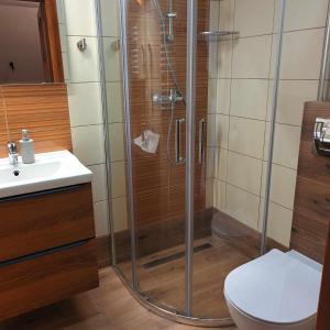 a bathroom with a shower with a toilet and a sink at Pokoje z aneksami kuchennymi u Wiktorii in Sromowce Niżne