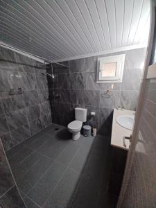 a bathroom with a toilet and a sink at Olive holiday home in Laganas