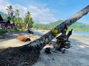 桑托斯将军城Northern Prince Beach Resort的海滩上的树