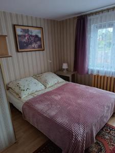 a bedroom with a bed and a window at Pokoje Gucio in Łeba
