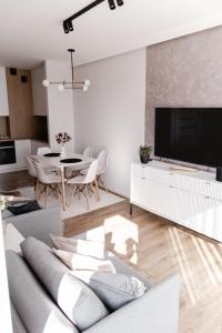 TV a/nebo společenská místnost v ubytování Apartament 1 Rozmarynowa 2 Residence Opole