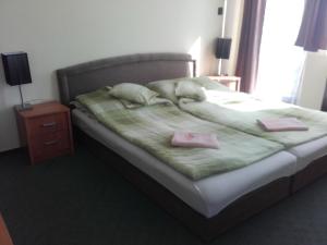 Φωτογραφία από το άλμπουμ του Domino Panzió στο Σεκεσφεχερβάρ +9 φωτογραφίες