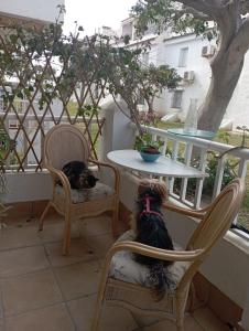 Balkón nebo terasa v ubytování Apartamento Laguna Beach Torrox Costa