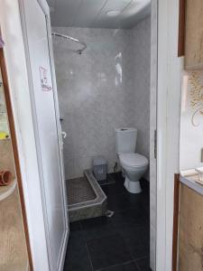 a bathroom with a shower and a toilet at Guesthouse Saba in Borjomi