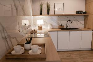 Kuchyň nebo kuchyňský kout v ubytování Apartament 8 Rozmarynowa 2 Residence Opole + 28 fotografií