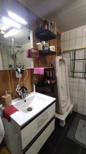 uma casa de banho com um lavatório e um WC em "Tempat Senang" chalet on the beautiful Veluwe with airco sauna bbq jacuzzi beamer and dog em Putten