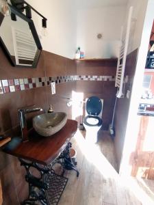 a bathroom with a sink and a toilet at Le cocon Cévenol in Anduze