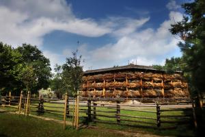 a barn full of sheep in a field at Biały Dom in Konstancin-Jeziorna