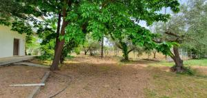 a yard with trees in front of a house at Villa Despina in Saint Minas +20 photos