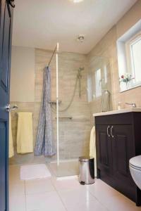 a bathroom with a shower and a sink and a toilet at Southdene Studio in Lincoln