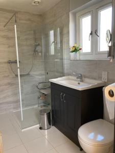 a bathroom with a shower and a sink and a toilet at Southdene Studio in Lincoln