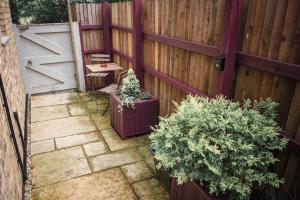 a backyard with a fence and some plants and a gate at Southdene Studio in Lincoln