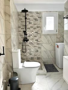 雅典Walk into Dream of Acropolis 6的带马桶和淋浴的白色浴室 更多10张照片