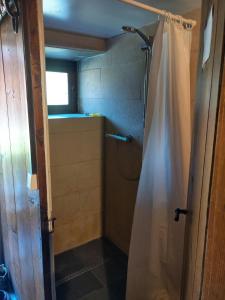 a bathroom with a shower with a shower curtain at Chalet La Gayolle - Chalets pour 12 Personnes 96 in Saint-Gervais-les-Bains