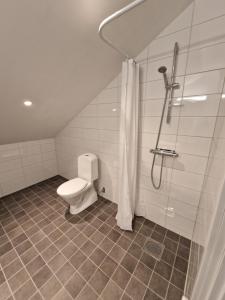 a bathroom with a toilet and a shower at Home Inn HVG54 in Stockholm