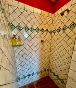 a bathroom with a tiled wall with a shelf on it at Casa Camellia in San Miguel de Allende