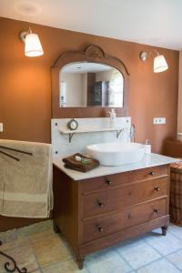 a bathroom with a sink and a mirror at Haus Nr. 9 in Ruppichteroth