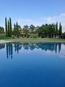 a large pool of water with trees in the background at Cuprena in Arezzo