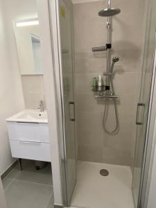 uma casa de banho com um chuveiro e um lavatório. em Appartement à Villenave d'Ornon avec jardin fraîchement rénové em Le Brucat