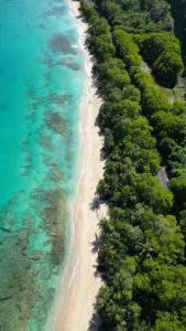 an aerial view of a beach with trees and water at La Casa des Lucioles in Saint-Louis