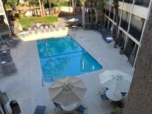 an overhead view of a swimming pool with umbrellas at Crashin' Waves-Oceanview Bikes and King Bed in Hilton Head Island