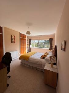 een slaapkamer met een groot bed en een raam bij Millbrook House in Oldcastle