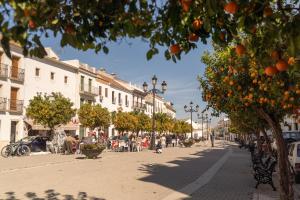 una strada con alberi di arancio e persone sedute sulle sedie di Casa Palacio Vida a Espejo